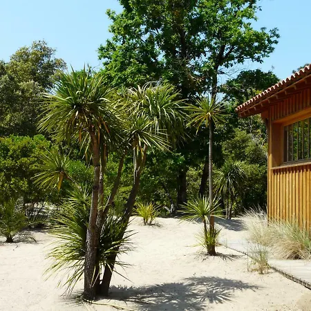 Maison Bois En Bordure De L Ocean *