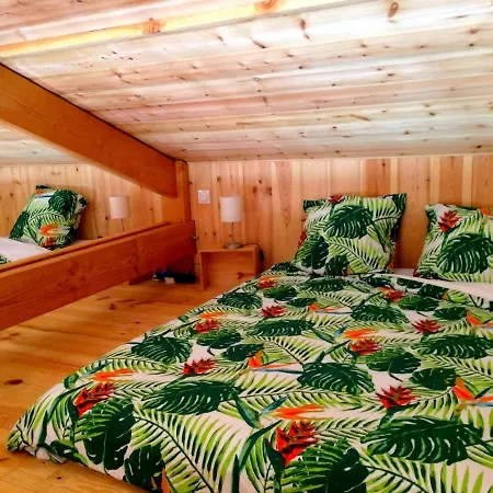 Villa Maison Bois En Bordure De L Ocean *