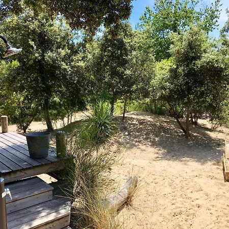 Maison Bois En Bordure De L Ocean